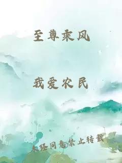 至尊乘风