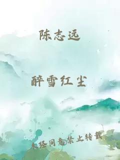 陈志远