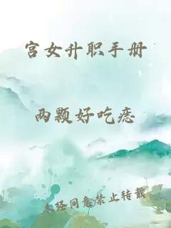 宫女升职手册